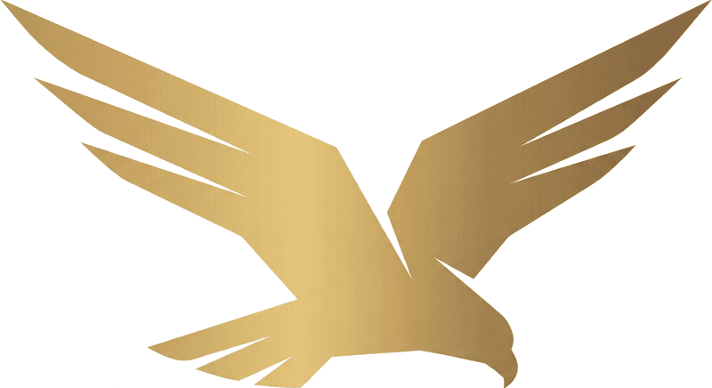 Hawkfall Holdings home